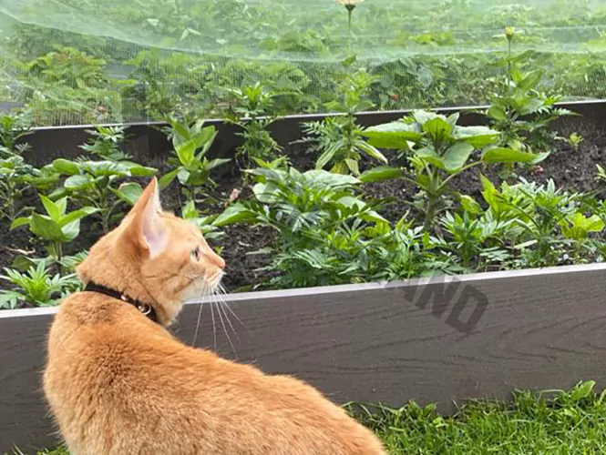 Грядка на дачу